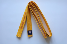 Пояс KYOKUSHINKAI для кимоно и единоборств с вышивкой IKO желтый, 300 см